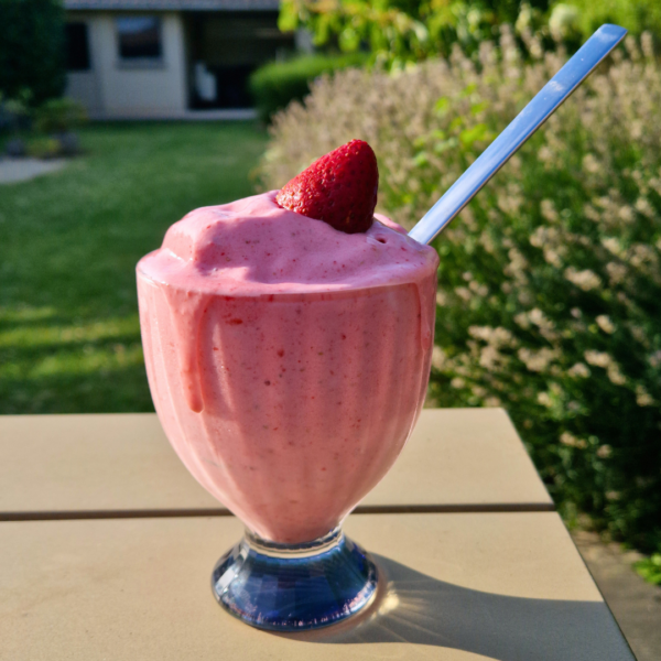E-book (PDF) 'Gezonde no-bake recepten'